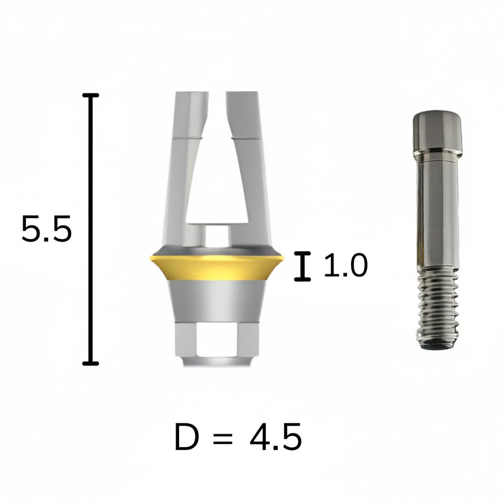 Regular Abutment - Implant Abutment (Korean D)