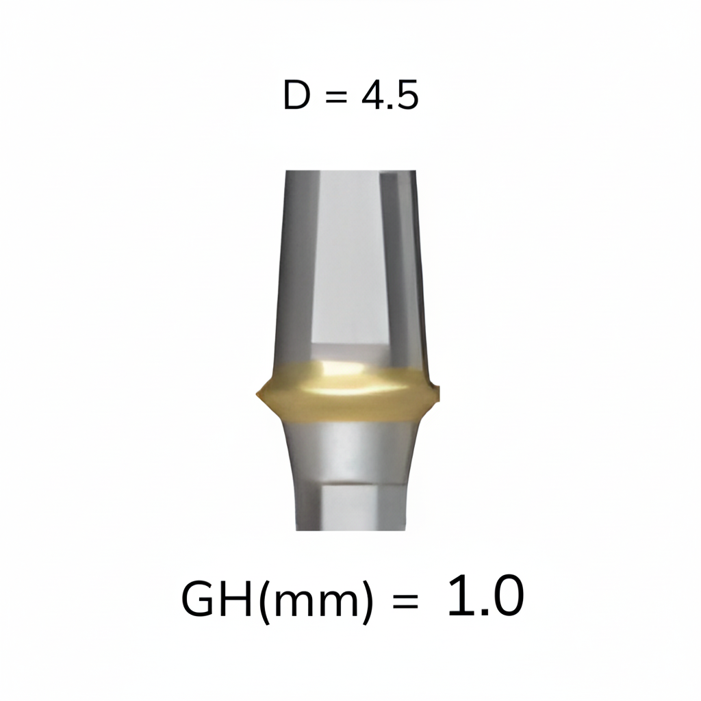 Regular Abutment - Implant Abutment (Korean O)