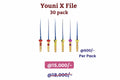 Youni X file 