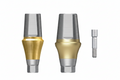 Implant Regular Angled Abutment (Israel)