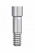 Israel Prosthetic Long Screw 