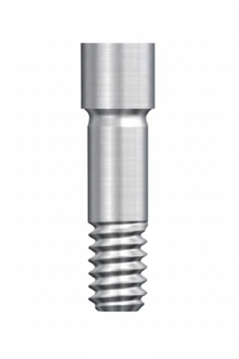Israel Prosthetic Long Screw 