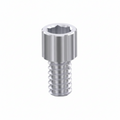 Israel Prosthetic Short Screw 
